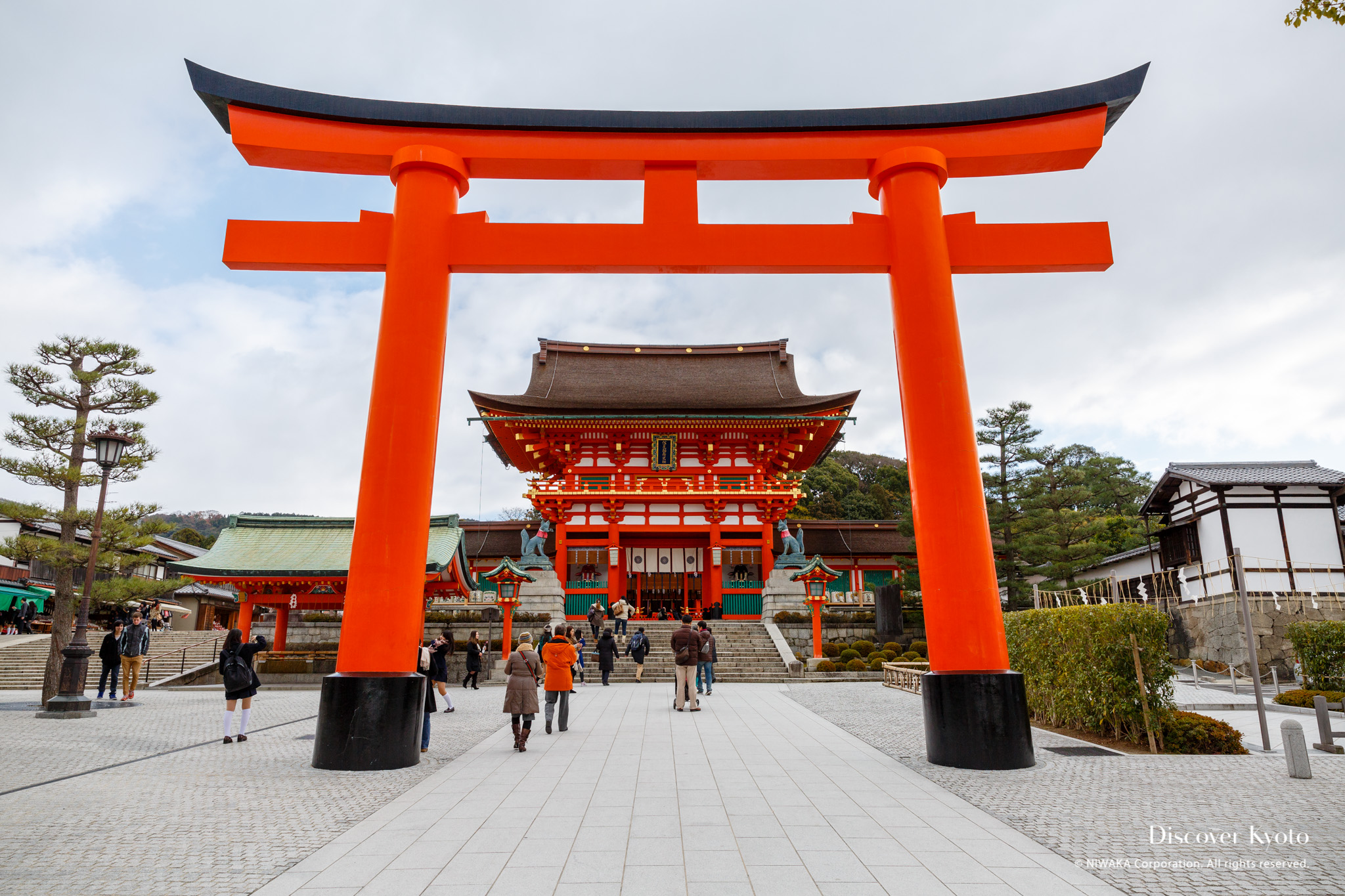 Thousands of vermillion torii gates lining the wooded mountain path at Fushimi Inari Taisha in Kyoto