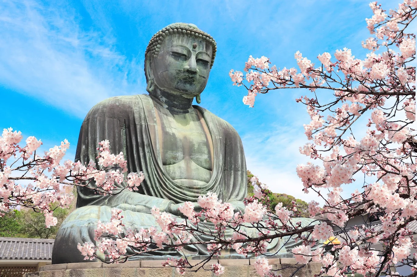 The massive monumental bronze statue of the Great Buddha of Kamakura sitting peacefully in the open air at Kotoku-in temple