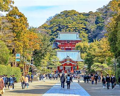 The iconic bronze Great Buddha statue surrounded by trees on a scenic Kamakura day trip