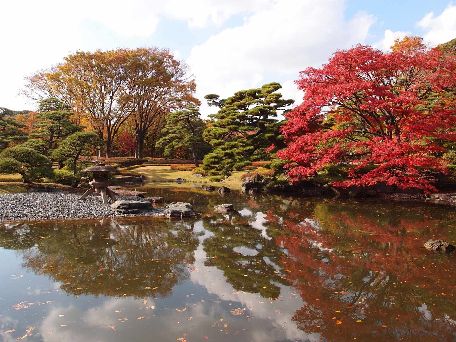 Manicured pines and stone pathways in the traditional Ninomaru Garden beside Odawara Castle