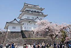 The white main keep tower of the historic Odawara Castle grounds on the Kanagawa coast