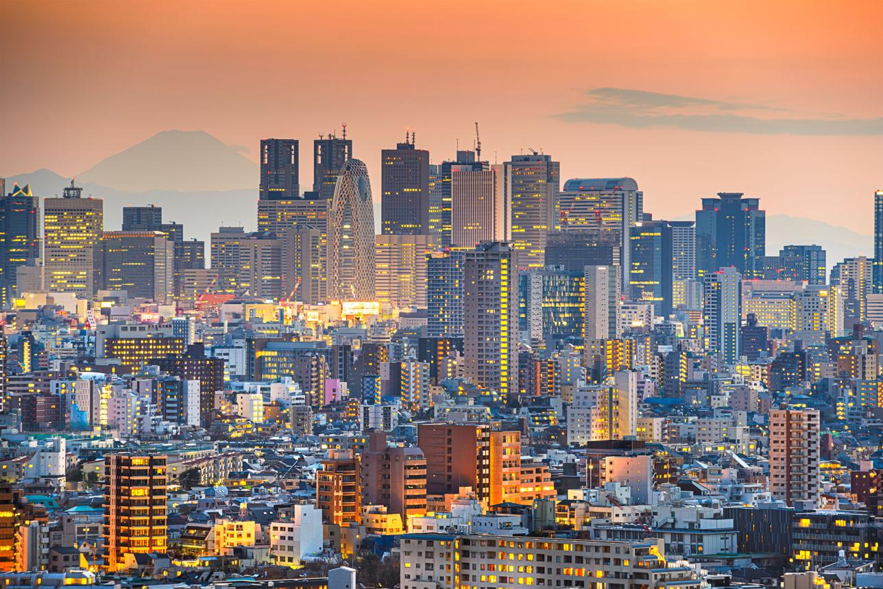 Scenic view of the modern Shibuya crossing area during a Tokyo highlights sightseeing tour
