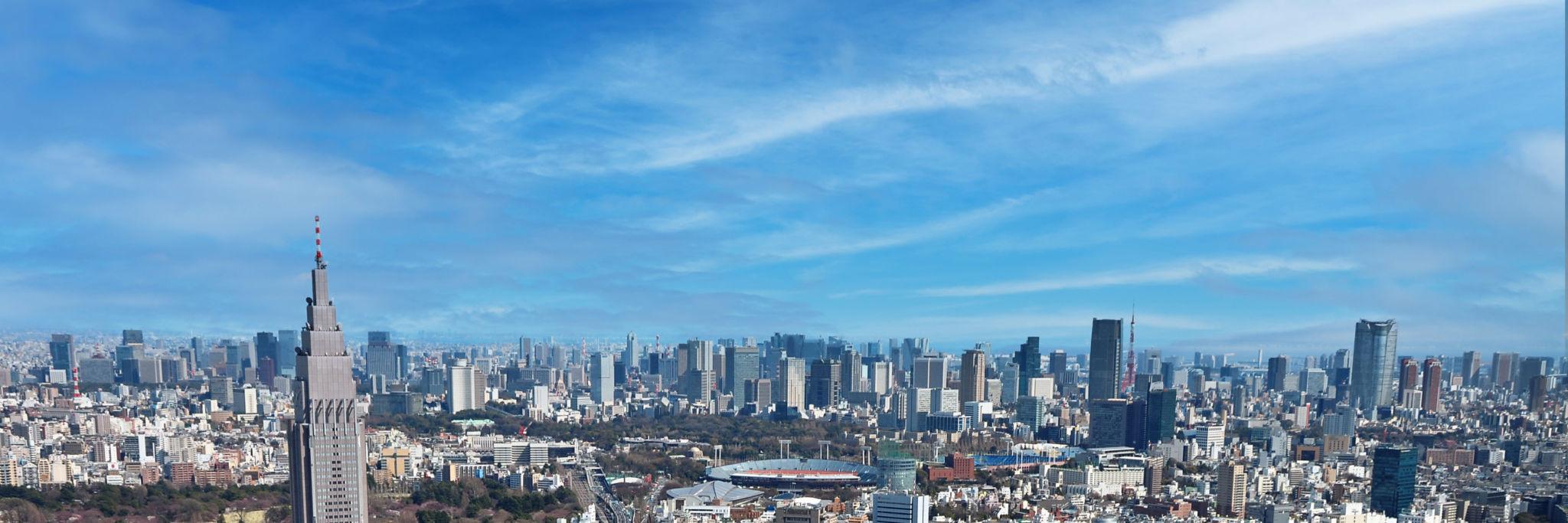 Panoramic view of the Shinjuku skyline at dusk representing private tours in Tokyo Japan